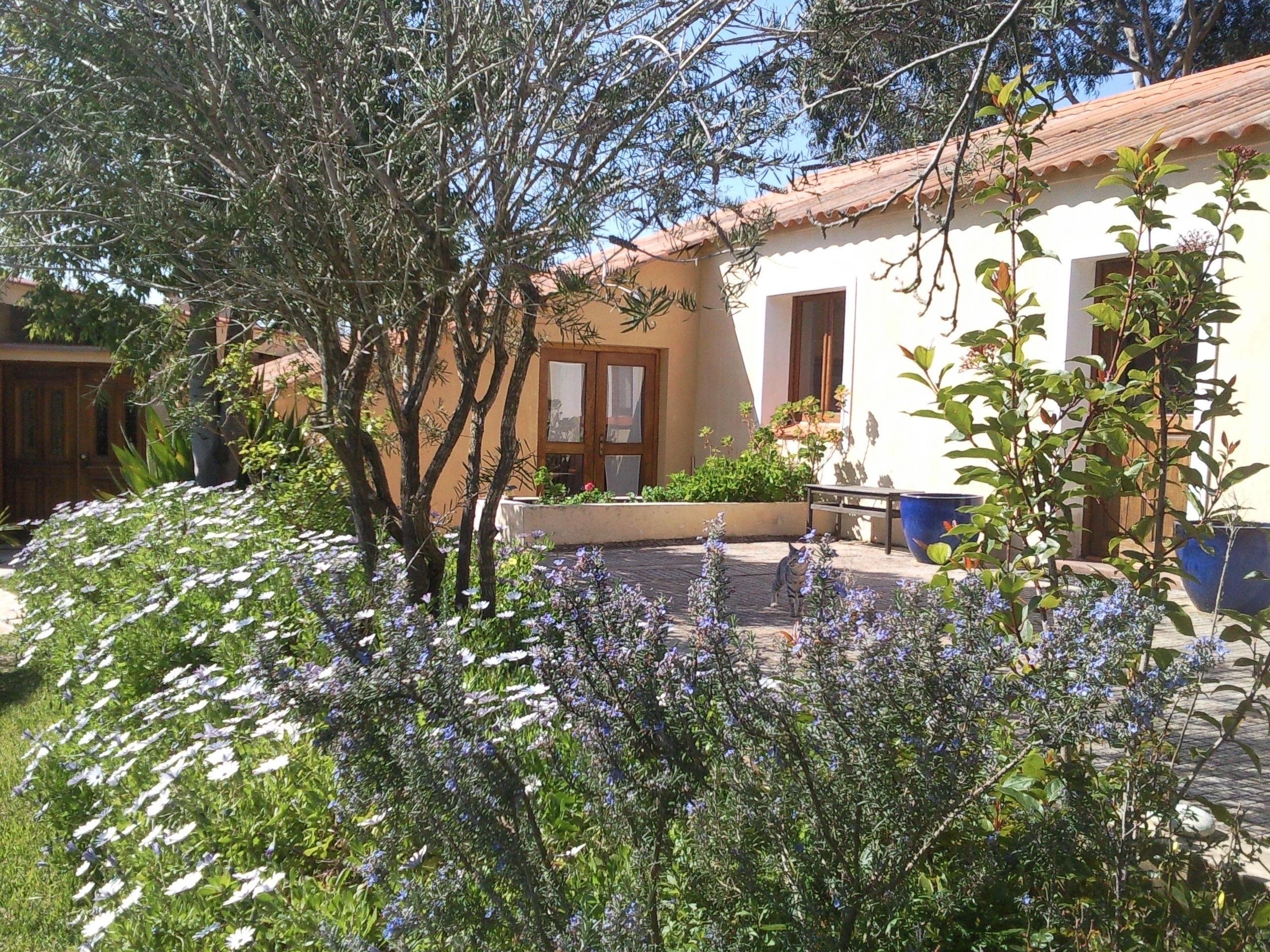 Quinta Pedagogica Da Samoqueirinha - Duna Parque Resorts & Hotels Vila Nova de Milfontes Extérieur photo